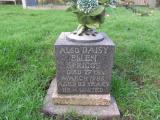 image of grave number 628513
